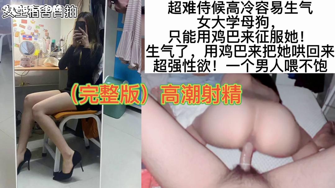 全站免费