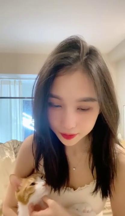 全站免费