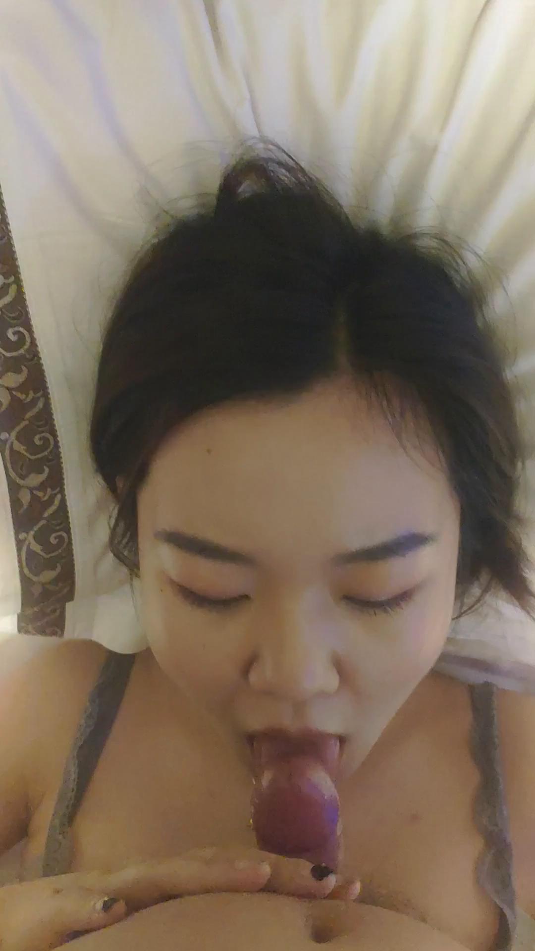 全站免费