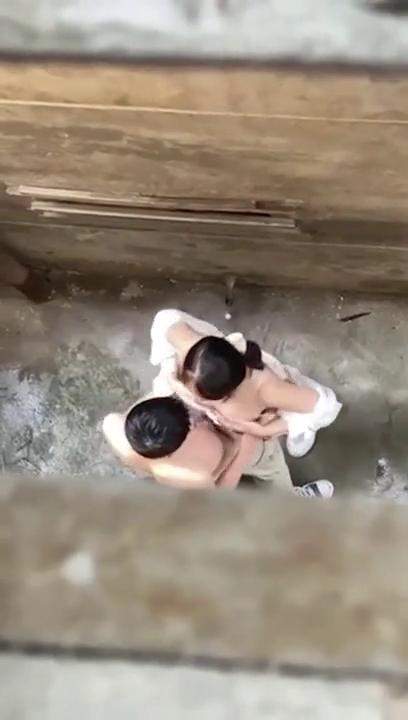 全站免费