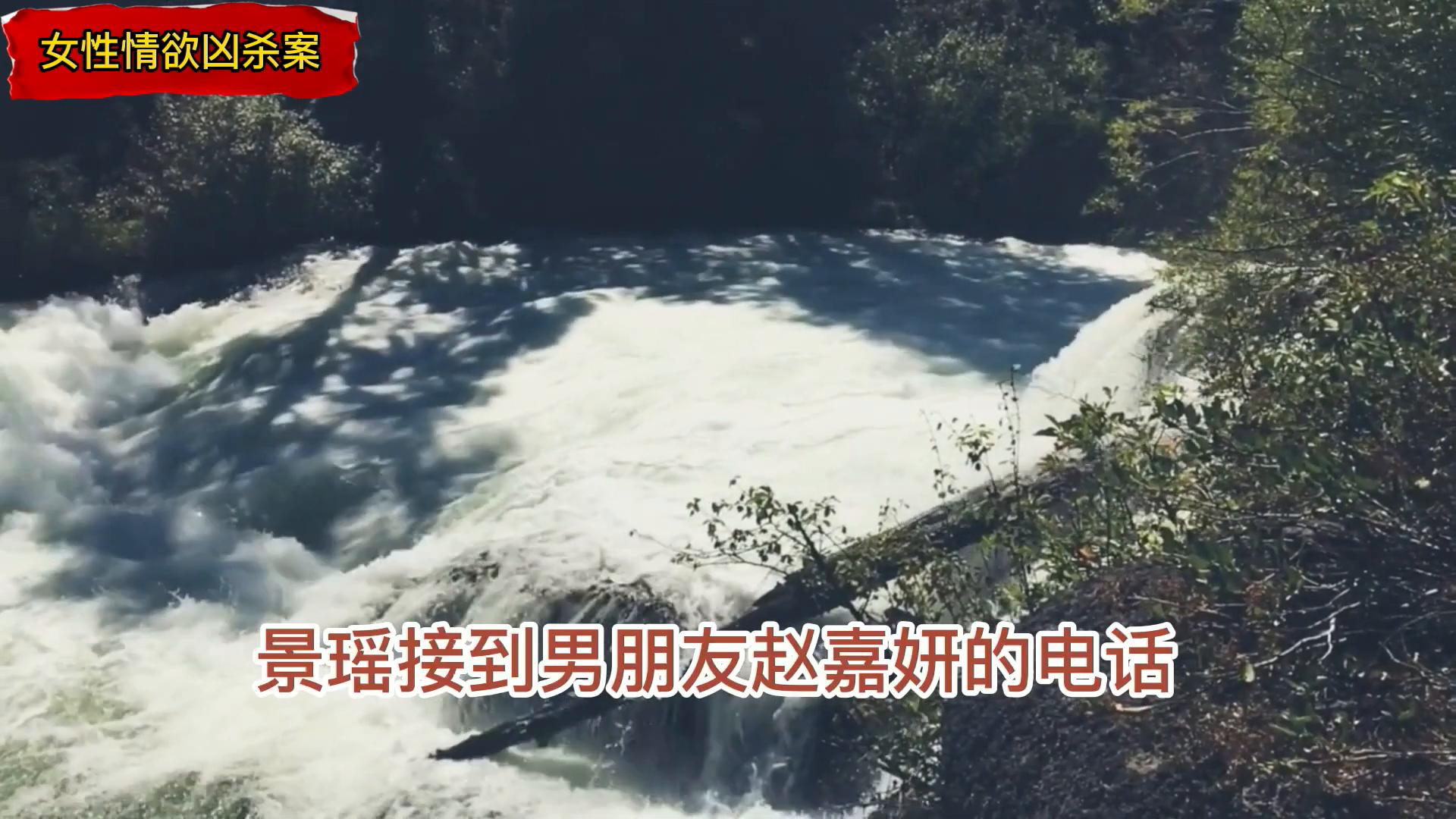 全站免费