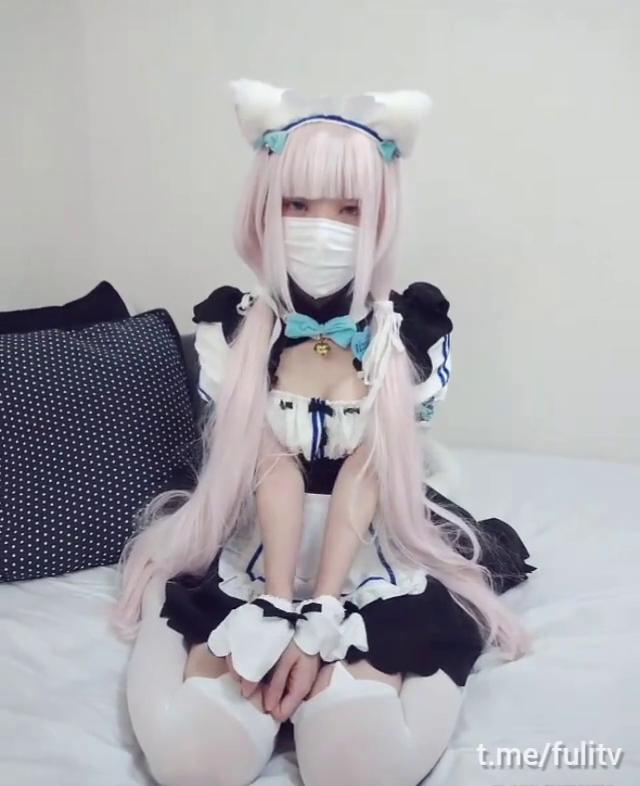 全站免费