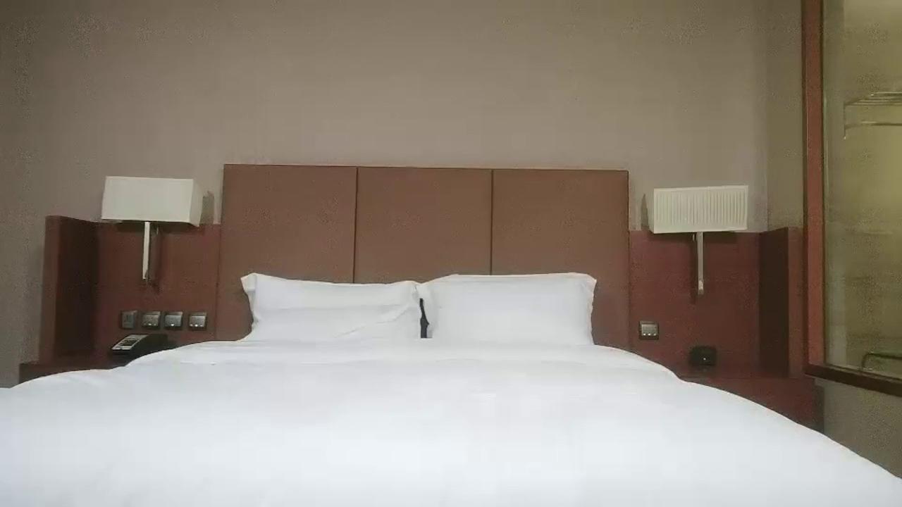 全站免费