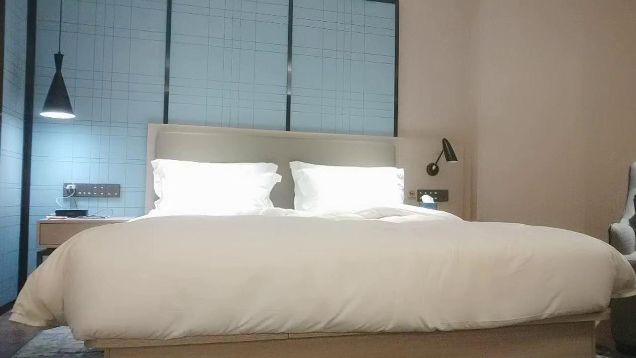 全站免费