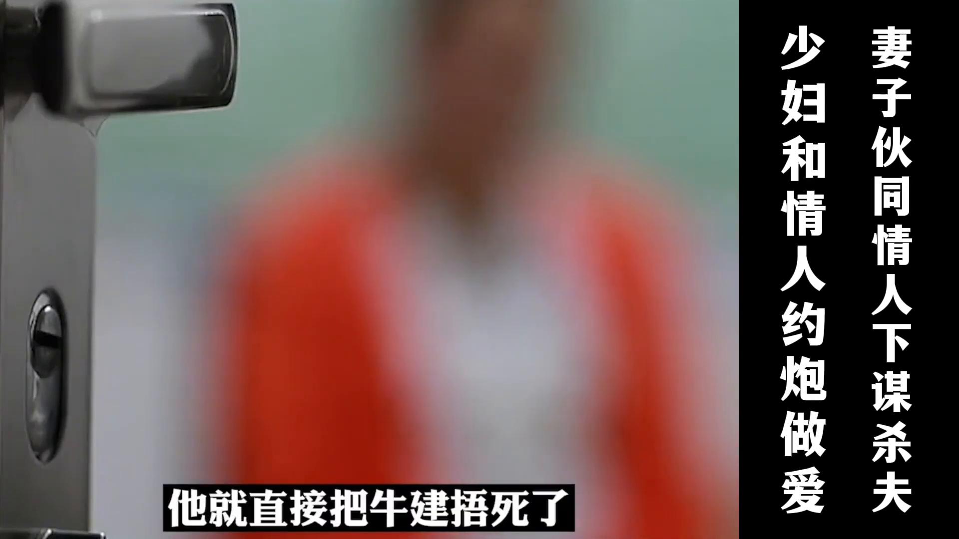 全站免费