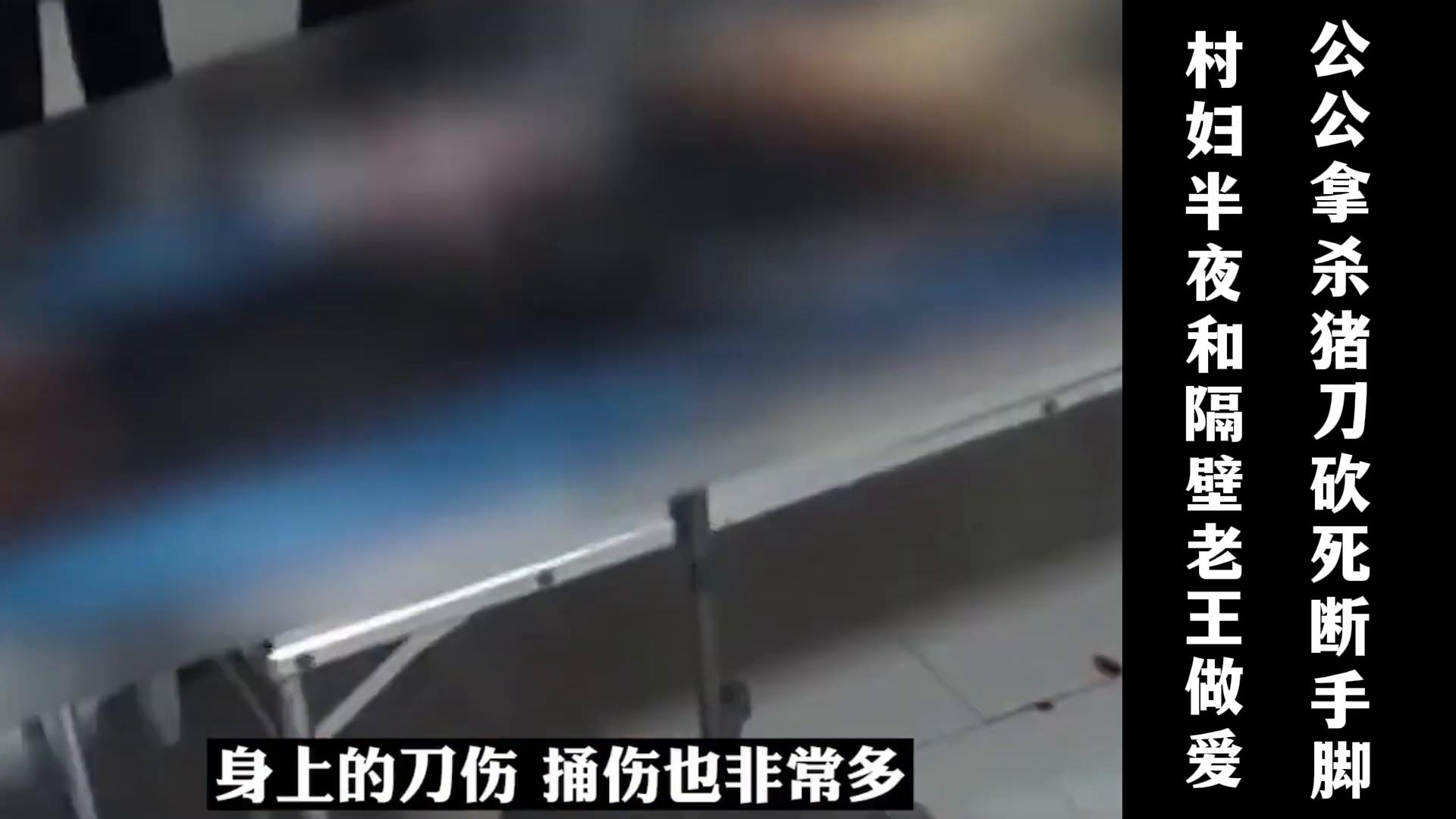 全站免费