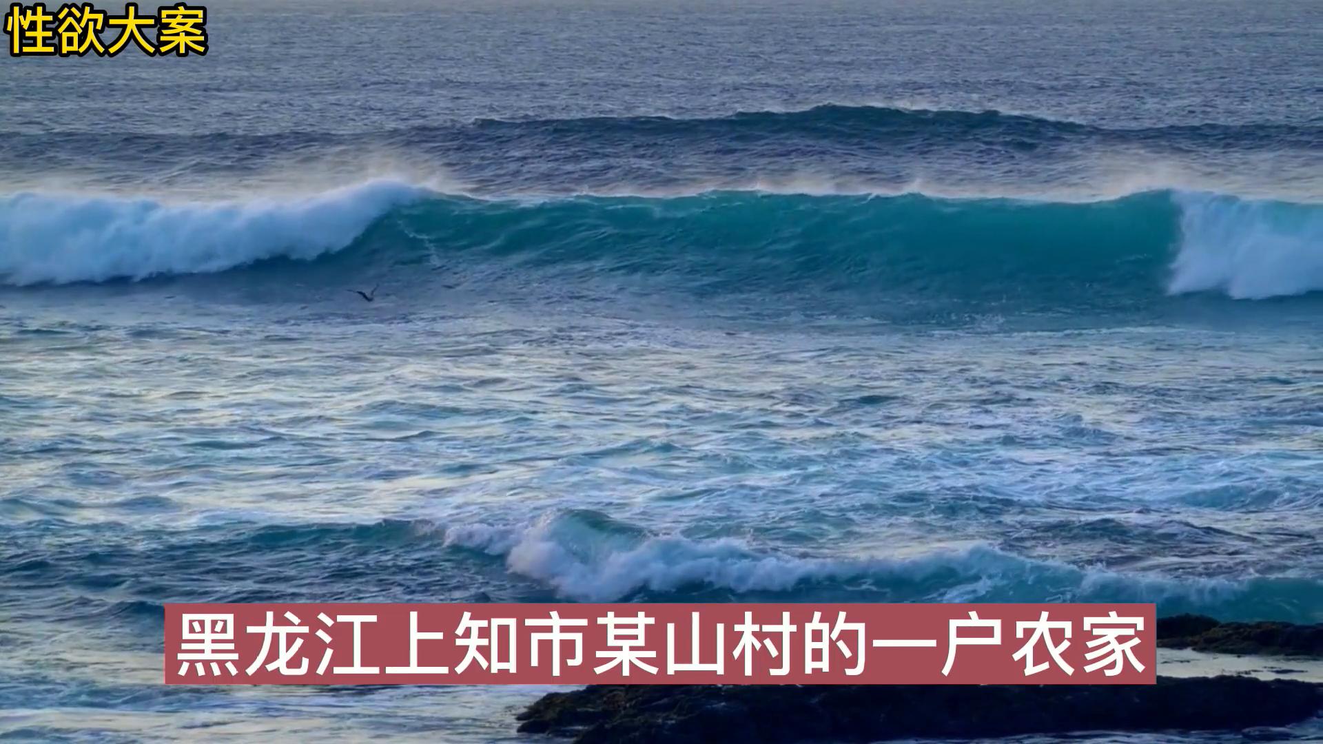 全站免费