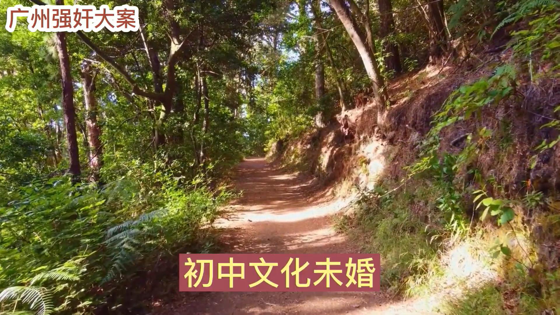 全站免费