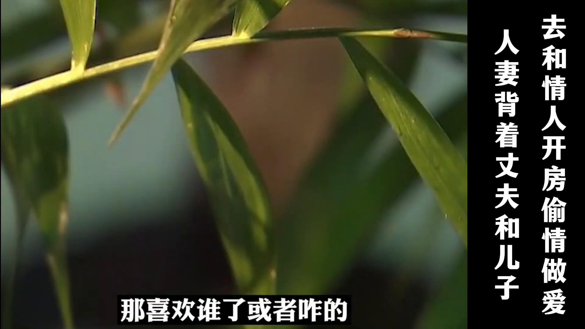全站免费