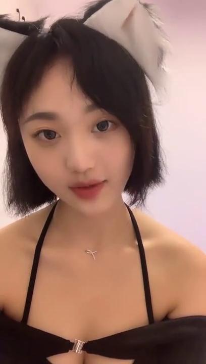 全站免费