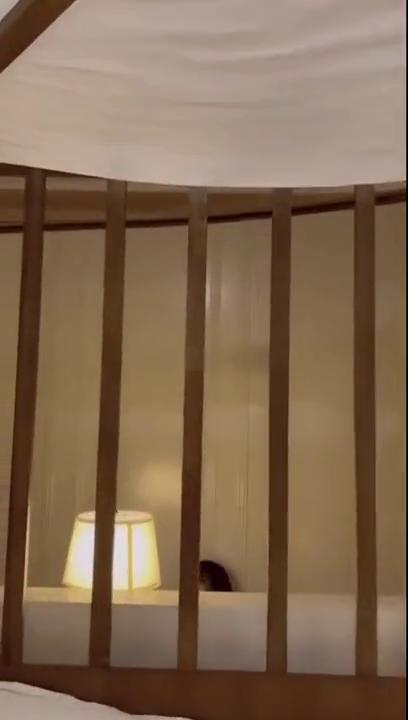 全站免费