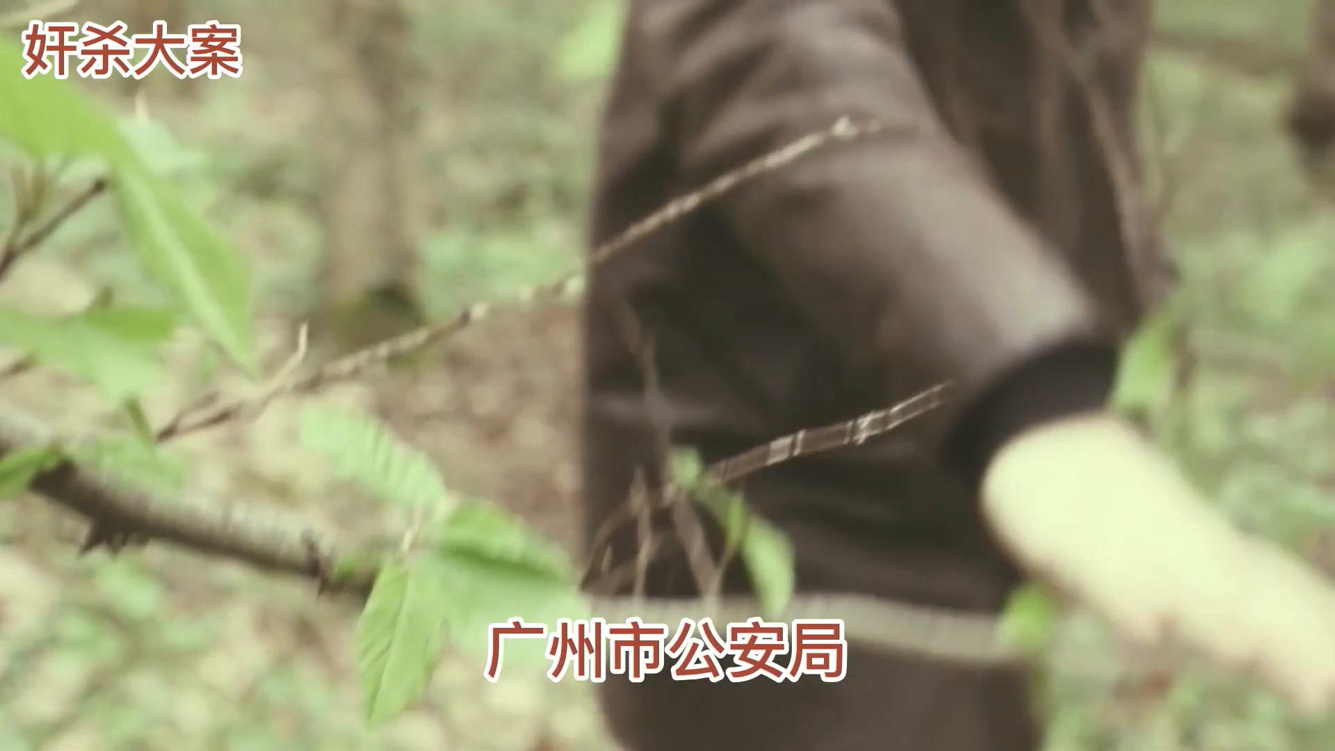 全站免费