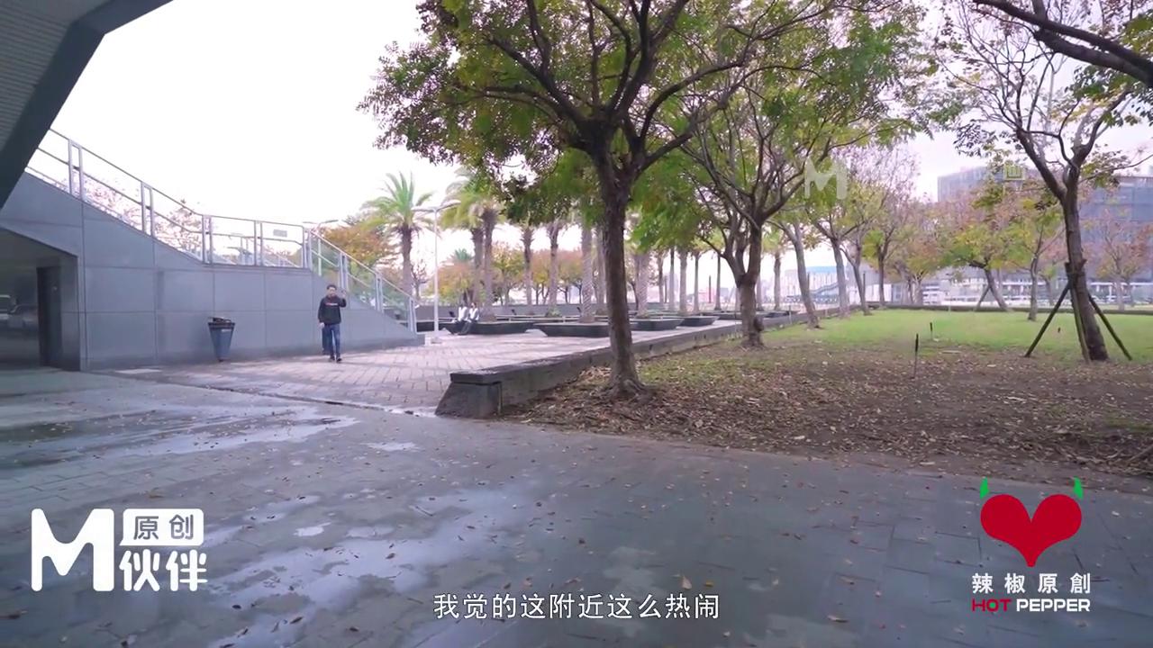 全站免费